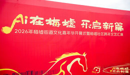 AI在梅墟，乐启新篇！2026梅墟街道文化嘉年华暨梅墟社区跨年文艺汇演
成功启幕