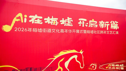 AI在梅墟，乐启新篇！2026梅墟街道文化嘉年华暨梅墟社区跨年文艺汇演
成功启幕
