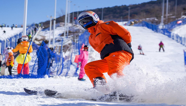 鲁城观察;临沭县;乡村振兴;产业开花;加速度