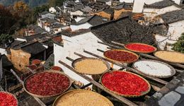 文旅人的2026：保持在场，回归真实