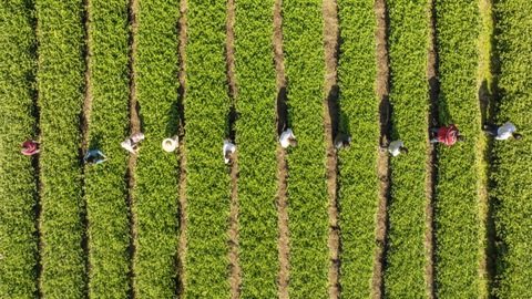 川渝跨省域GEP质押贷款落地