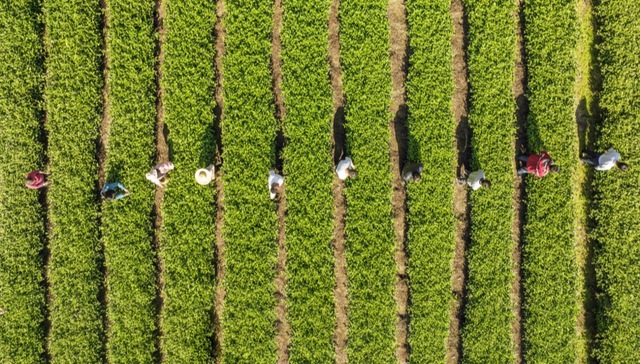 川渝跨省域GEP质押贷款落地