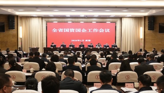 四川省国资委召开全省国资国企工作会议