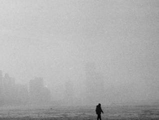 特别策划 | 找回生命力，重塑独居世代的关系