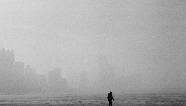 特别策划 | 找回生命力，重塑独居世代的关系