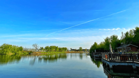 牛粪“变身”记 ——文水县“变废为宝”蹚出生态治理产业发展新路