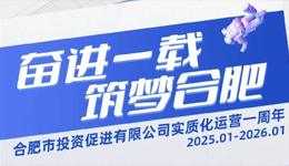 奋进一载，筑梦合肥 | 合肥市投资促进有限公司实质化运营一周年