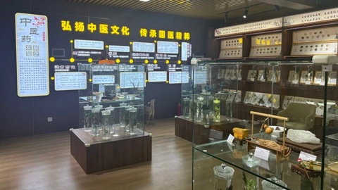 摘得國家級“創(chuàng)新案例獎”！陜西漢中這所小學(xué)“跨界”中醫(yī)藥