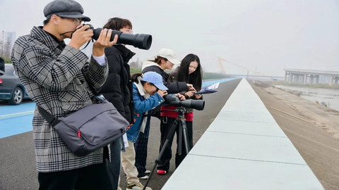 高校学子守护候鸟迁徙路