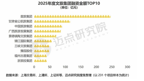 2025年度文旅集团投融资分析报告
