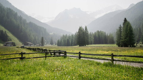 塞罕坝林场阴河分场扎实开展岁末年初安全隐患排查整治工作