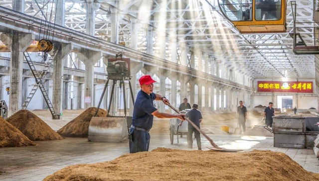 2025中期分红超5亿元！古井贡酒去年前三季近40亿元净利支撑高派现