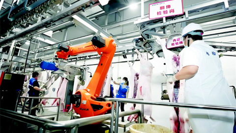 大幅预亏、收到监管函、更正4年财报……
龙大美食面临多重压力