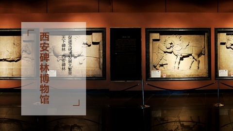 西安碑林博物馆石头上的简历：大唐普通人的一生，这样被铭记