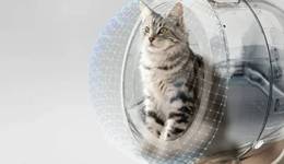 TOPBRAND | MOVA AI寵物獲融資；AG Barr收購兩家飲料品牌；耐克重啟ACG戶外品牌；肯德基印度運營商高層調(diào)整