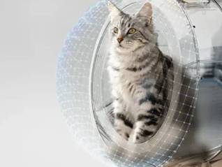 TOPBRAND | MOVA AI宠物获融资；AG Barr收购两家饮料品牌；耐克重启ACG户外品牌；肯德基印度运营商高层调整