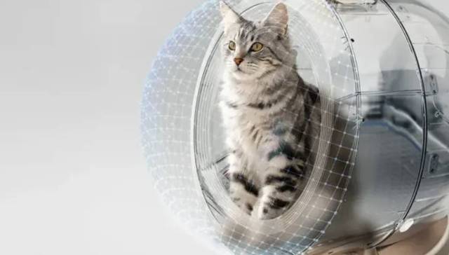 TOPBRAND | MOVA AI宠物获融资；AG Barr收购两家饮料品牌；耐克重启ACG户外品牌；肯德基印度运营商高层调整