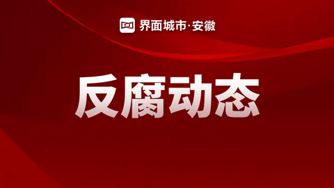 中国工商银行安徽省分行原党委副书记、副行长梁延国被开除党籍