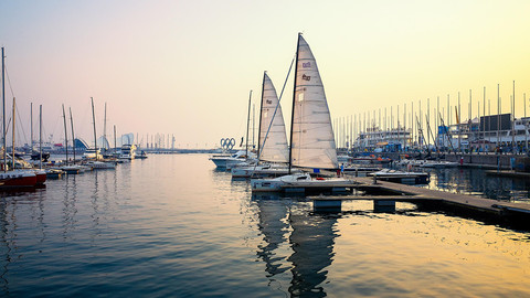 山东城市观察 | 乘风破浪，山东外贸何以稳立潮头？