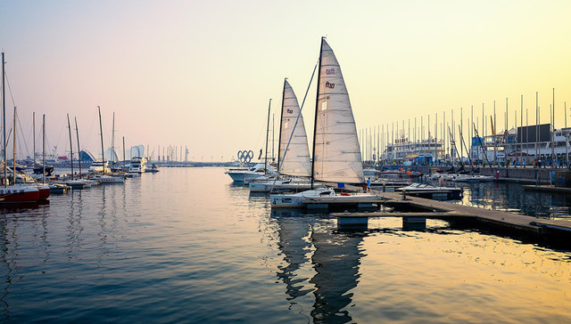 山东城市观察 | 乘风破浪，山东外贸何以稳立潮头？