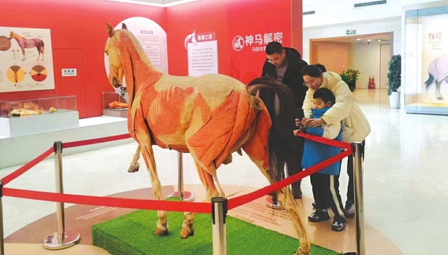 我在山西过大年：学知识 博物馆里探奥秘