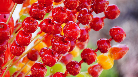 时评 | 糖球会里看青岛：四天158万人次的年味答卷
