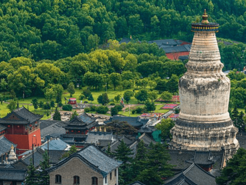 山西省五臺(tái)山景區(qū)：精細(xì)化服務(wù)為游客“暖心護(hù)航”