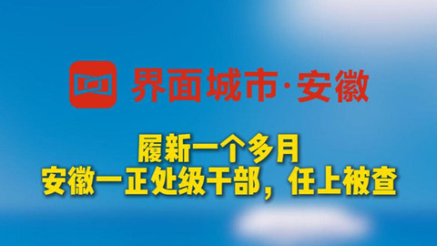 履新一個多月，安徽一正處級干部，任上被查