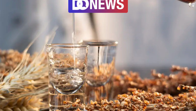 白酒消费洞察：进入存量博弈时代