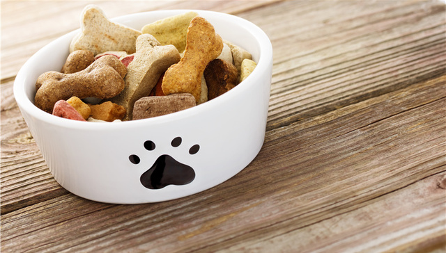 鲁股观察｜路斯股份2025年利润收窄，海外产能利用率仍需提升