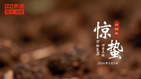 雨过花开渐繁盛 雷鸣春醒万物生