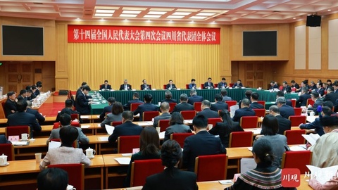 四川代表团举行全体会议 讨论通过代表团全团建议 王晓晖主持 施小琳出席