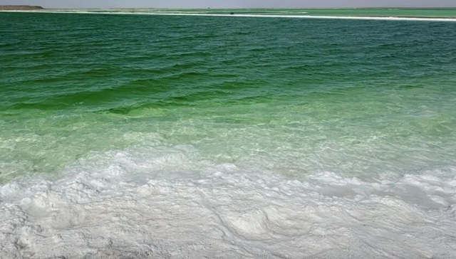 《生命树》救了青海旅游，但没完全救活