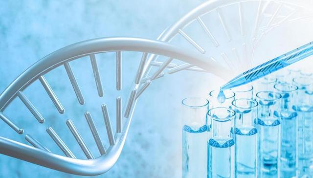 诺令生物冲刺港股：从“卖气瓶”到“造设备”，百亿赛道跑出的18A选手