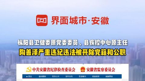 陶善泽严重违纪违法被开除党籍和公职