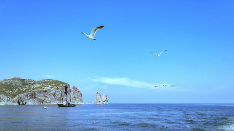 山东城市观察 |  政府工作报告点题“海湾”，烟台何以惊艳？