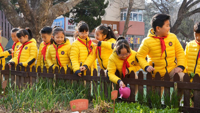 春满世纪 共“植”美好