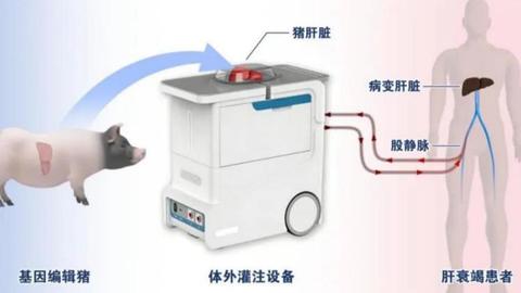 祝贺!西京创新再登Nature News！