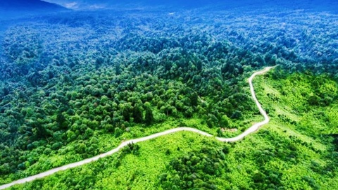 四川2025年国土绿化交出亮眼“成绩单” 全年完成营造林523万亩