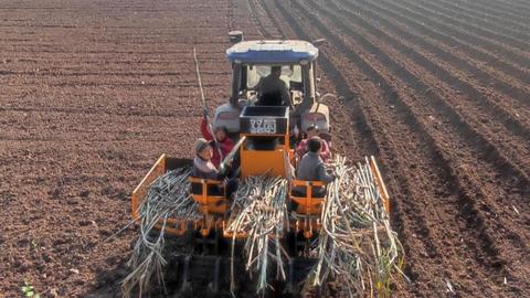 作业效率提升10倍！四川首台甘蔗播种机在内江田垄开启“首秀”