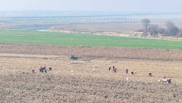 三晋春回暖 耕播正当时|山西省全面推进春耕备耕工作纪实