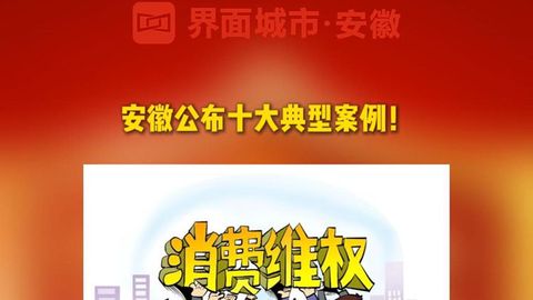 安徽省消保委系統(tǒng)2025年消費(fèi)維權(quán)典型案例