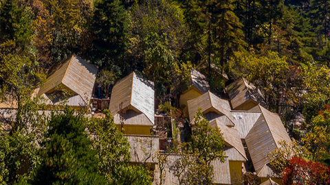 黄山旅游：与控股股东全资子公司签订托管服务合同