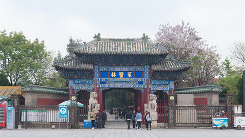 山东城市观察 | 省政策加码济宁，“港”与“文”优势如何发挥？