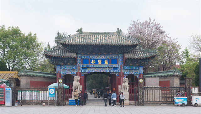 山东城市观察 | 省政策加码济宁，“港”与“文”优势如何发挥？