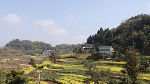 四川内江梧桐村：一次考古发现让它“老”了五万年