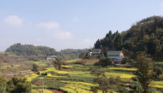 四川内江梧桐村：一次考古发现让它“老”了五万年