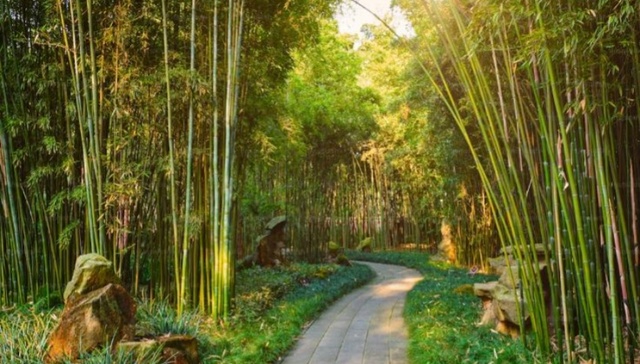 四川德阳接诉即办改革试点一年，诉求解决率提升15.52%