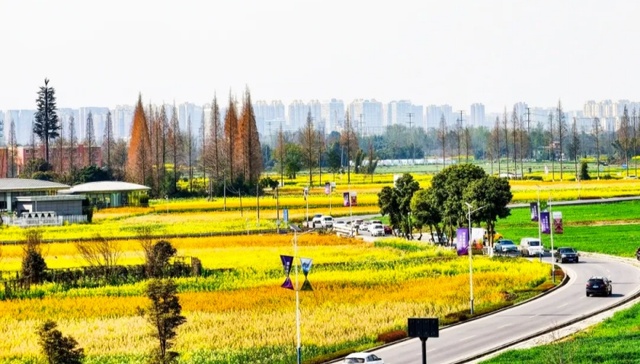 成都郫都区春糖季盛宴正酣，全域联动谱写“花香+消费”新篇章