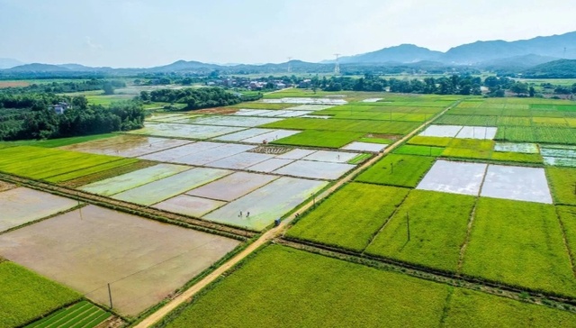 山西省高标准农田建设暨农村集体“三资”管理突出问题专项整治推进会议召开